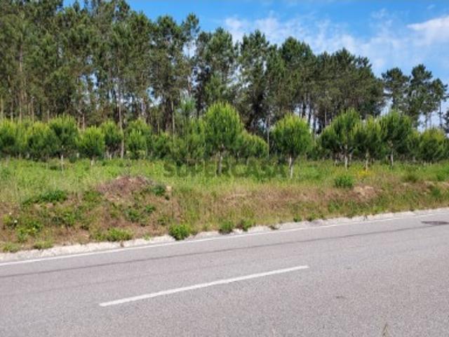 Terreno venda em Pombal, Leiria