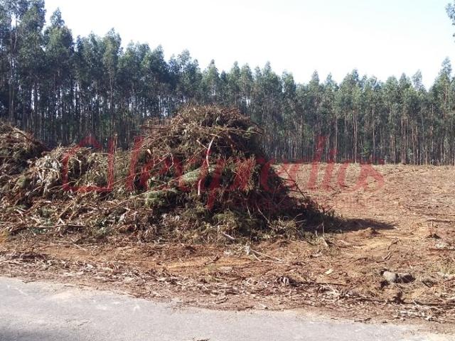 Terreno venda em Águeda, Aveiro