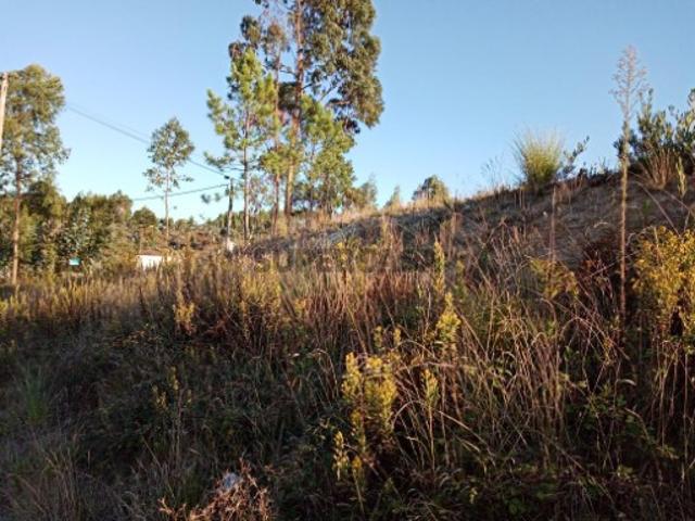 Terreno venda em Oliveira Do Bairro, Aveiro