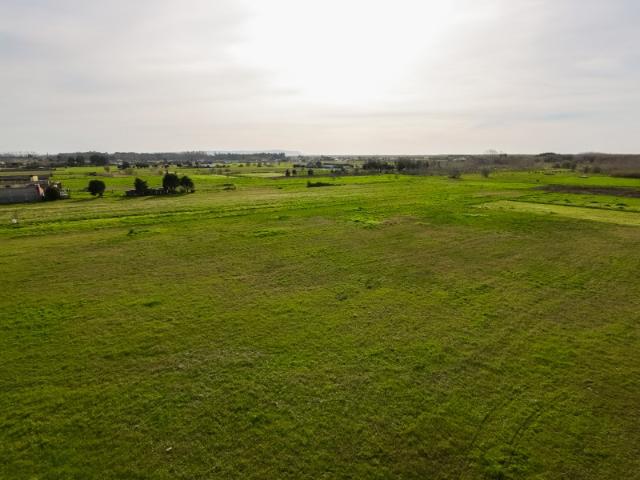 Terreno venda em Morros, Figueira Da Foz