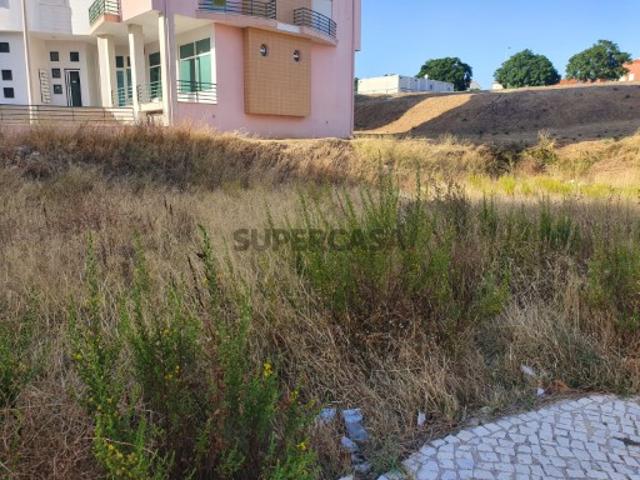 Terreno venda em Torres Novas, Santarém