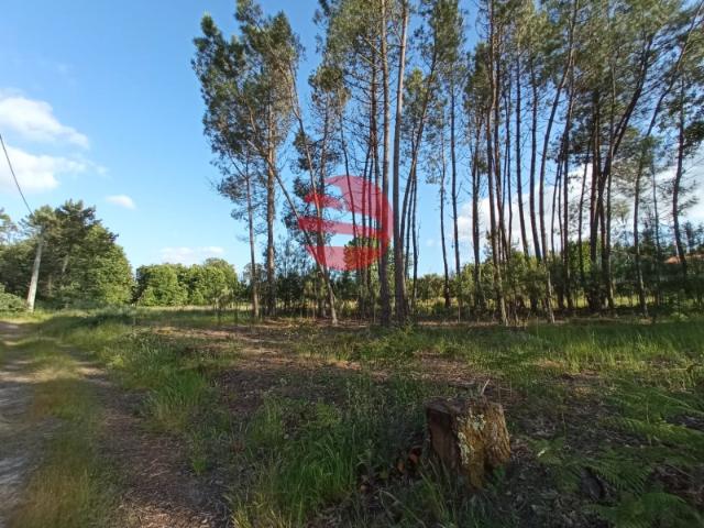 Terreno venda em Bodiosa-a-Nova, Viseu