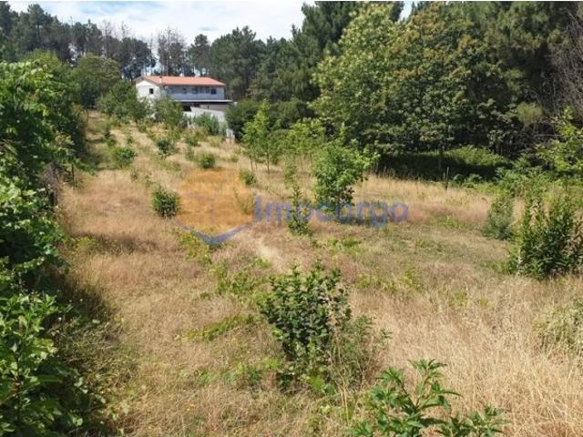 Terreno venda em Vila Real