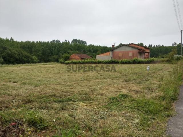 Terreno venda em Anadia, Aveiro