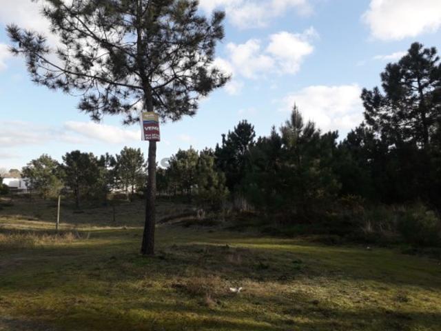 Terreno venda em Esposende