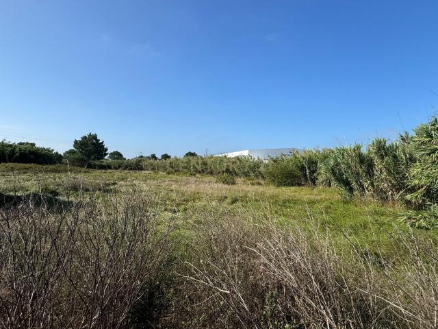 Terreno venda em Pederneira, Leiria