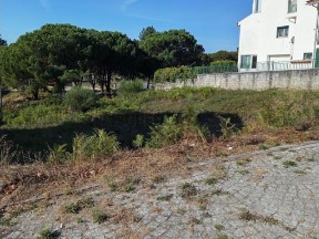 Terreno venda em Repeses e São Salvador, Viseu
