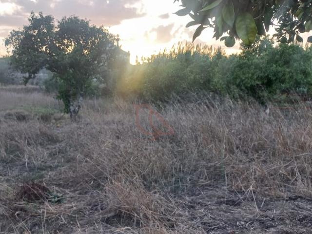 Terreno venda em Alburitel, Ourém