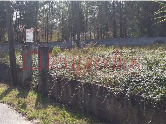 Terreno venda em Anadia, Aveiro