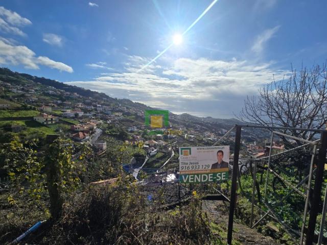 Terreno venda em Marinheira, Câmara de Lobos