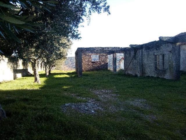 Terreno venda em Guarda, Celorico Da Beira