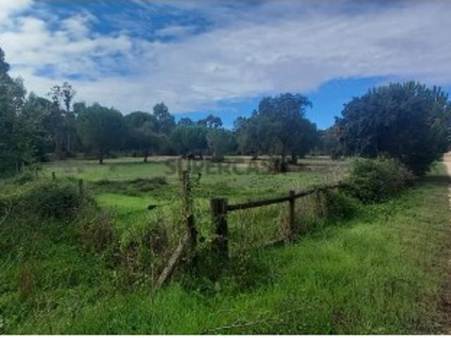 Terreno venda em Benavente, Santarém