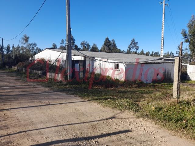 Terreno venda em Cavadas de Baixo, Águeda
