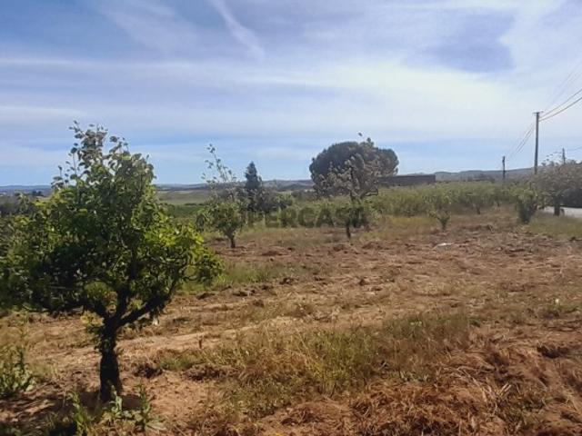 Terreno venda em Bombarral, Delgada Terreno venda em Bombarral, Delgada