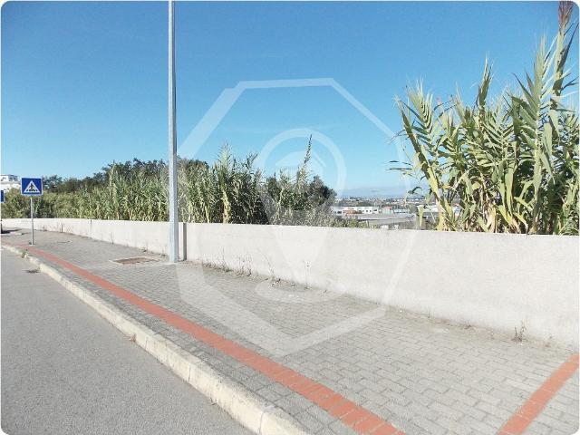 Terreno venda em Oliveira do Bairro