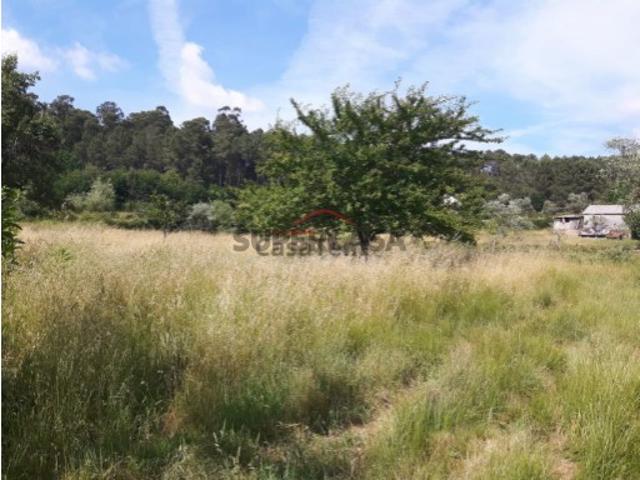 Terreno venda em Campo, Viseu