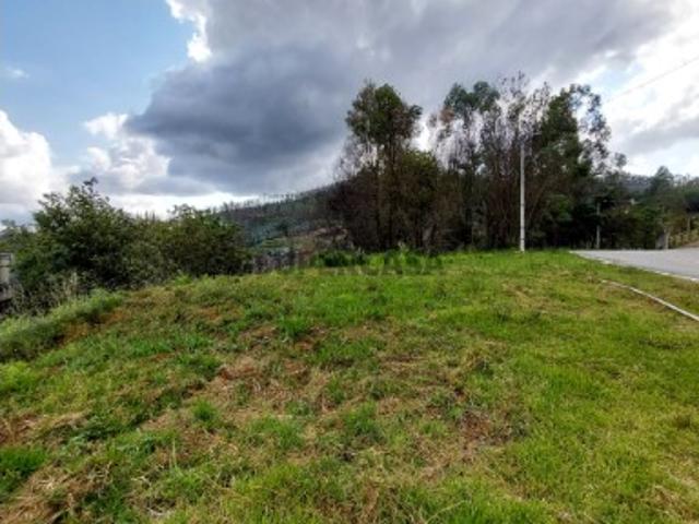 Terreno venda em Sever Do Vouga, Aveiro