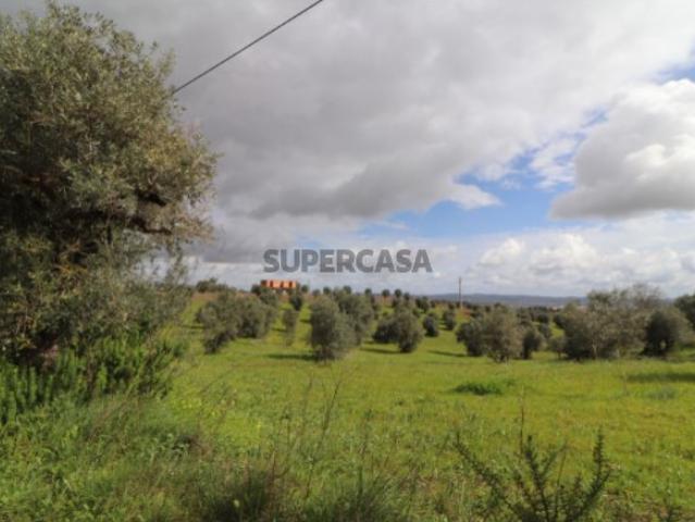 Casa venda em Tomar, Santarém