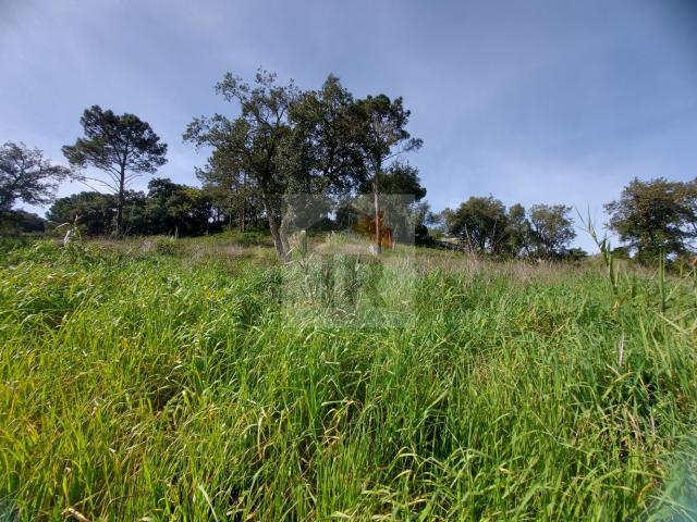 Terreno venda em Formigal, Caldas Da Rainha