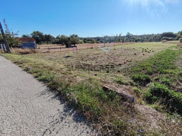 Terreno venda em Pombal, Leiria