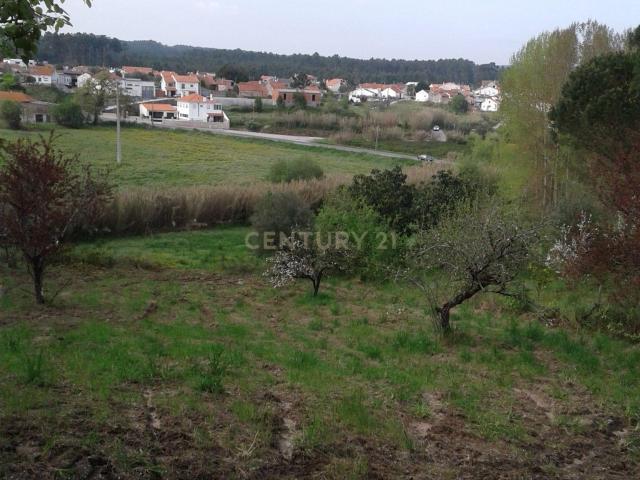 Terreno venda em Alcobaça, Leiria