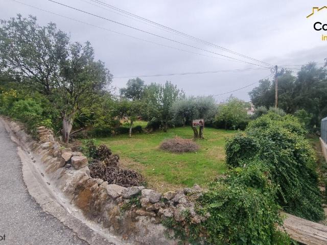 Terreno venda em Castelo Branco, Cumeada