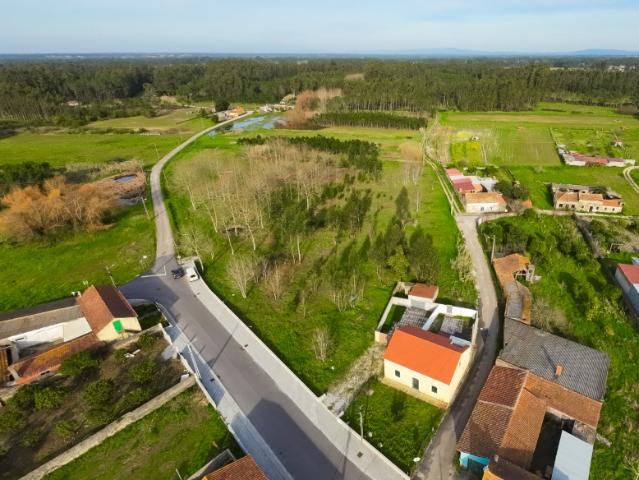 Terreno venda em Caetanos, Cantanhede