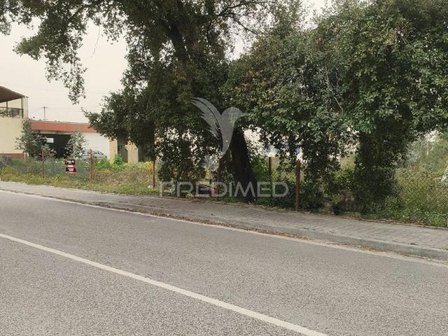 Terreno venda em Leiria