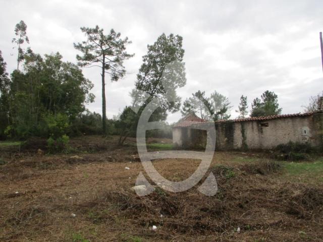 Terreno venda em Coimbrã, Cernache