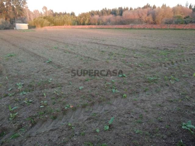 Terreno venda em Oliveira Do Bairro, Aveiro