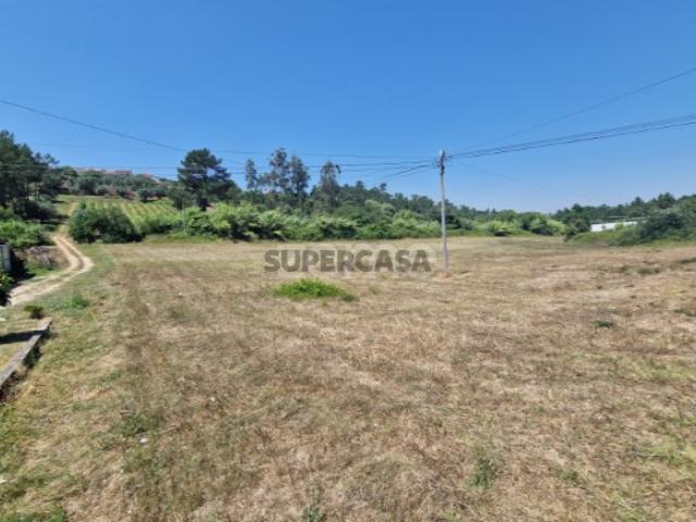 Terreno venda em Soure, Coimbra