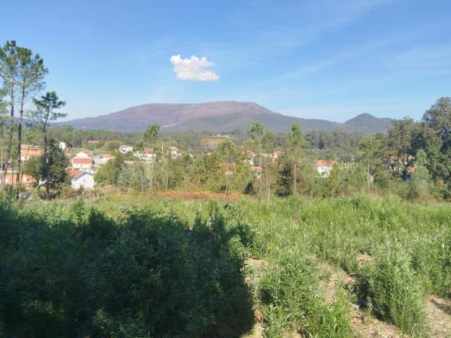 Terreno venda em Boalhosa, Viana Do Castelo