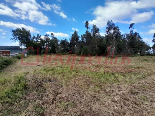 Terreno venda em Quinta do Morangal, Águeda