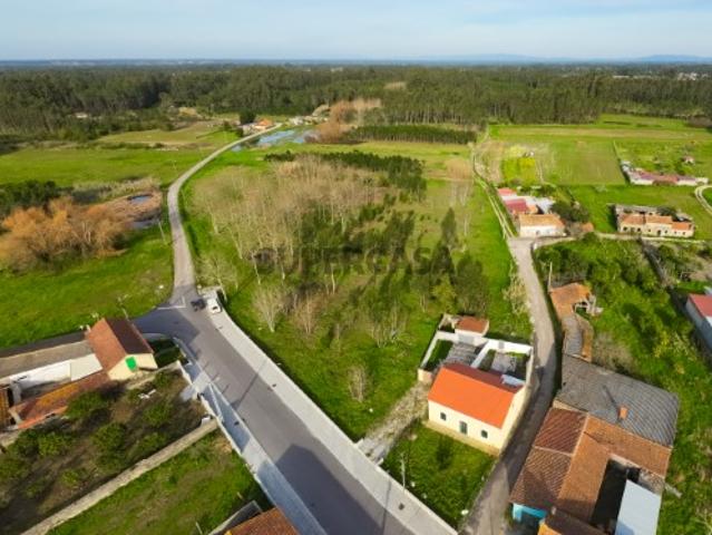 Terreno venda em Cantanhede, Coimbra