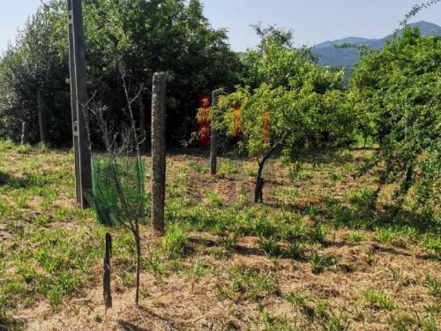 Terreno venda em Arcos De Valdevez, Viana Do Castelo