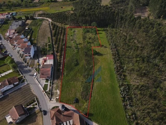 Terreno venda em Palhaça, Oliveira do Bairro