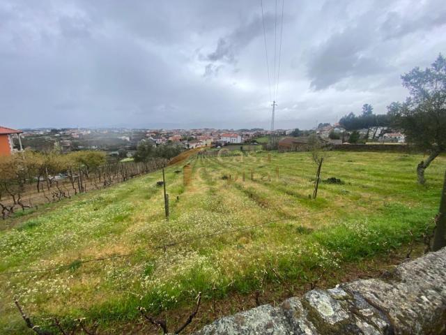 Terreno venda em Ranginha, Vila Real