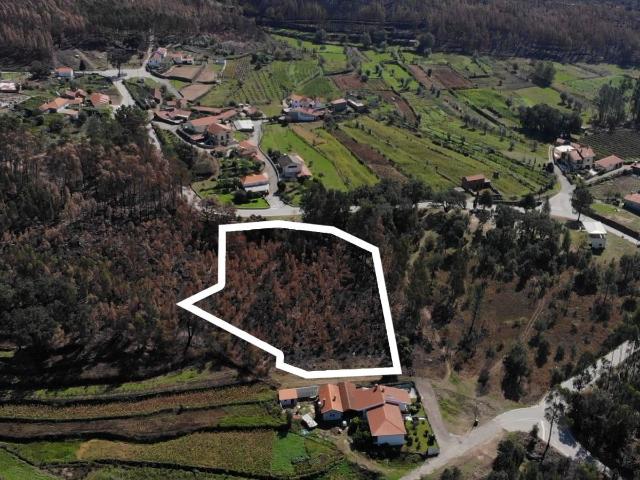 Terreno venda em Sever Do Vouga, Aveiro