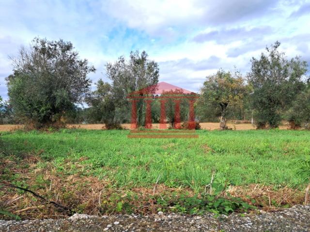 Terreno venda em Alheira e Igreja Nova, Arcozelo