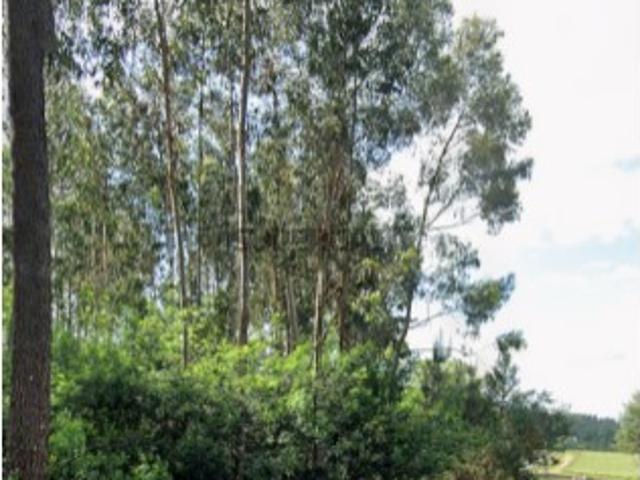 Terreno venda em Monção, Viana Do Castelo