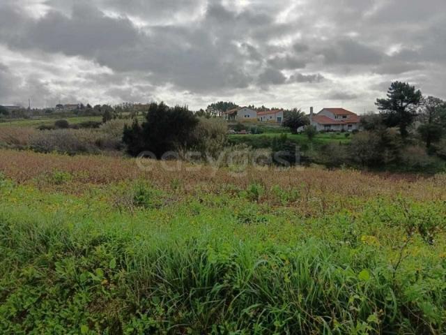 Terreno venda em Alcobaça, Leiria