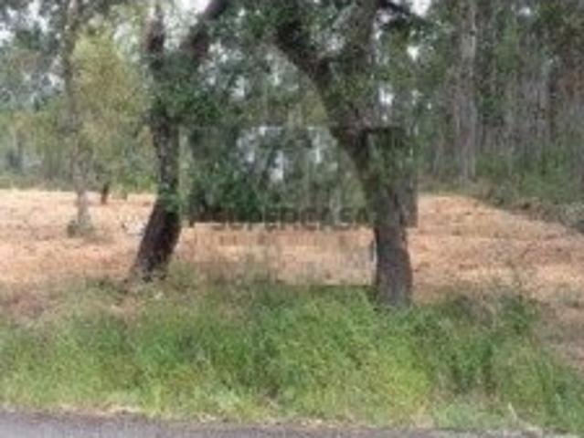 Terreno venda em Anadia, Aveiro
