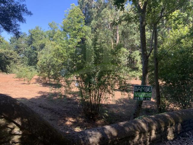 Terreno venda em Arga De Baixo, Viana Do Castelo
