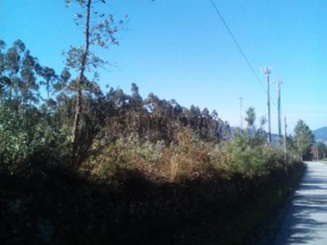 Terreno venda em Arga De Baixo, Viana Do Castelo