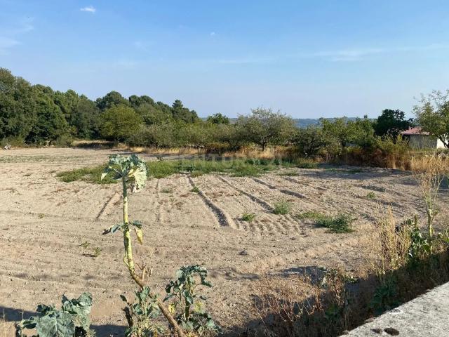 Terreno venda em Vilar de Iseu, Chaves