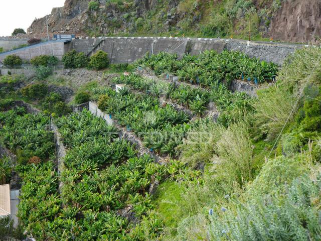 Terreno venda em Arco Da Calheta, Ilha Da Madeira