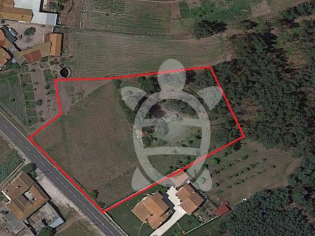 Terreno venda em Casal do Gaio, Montemor-o-velho