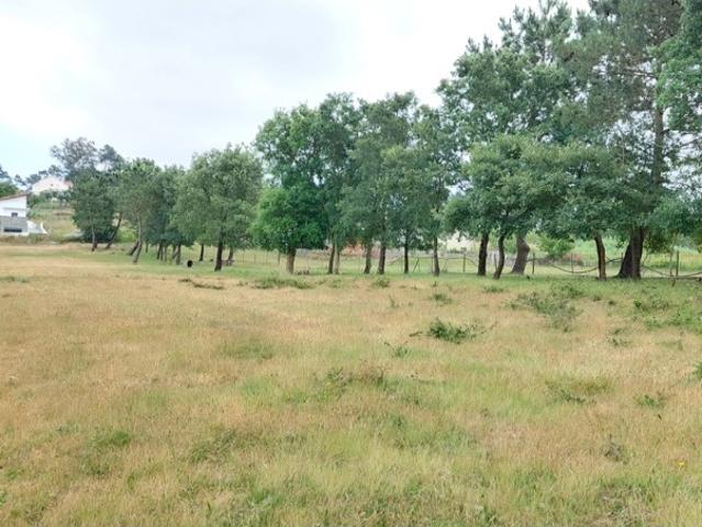 Terreno venda em Leiria