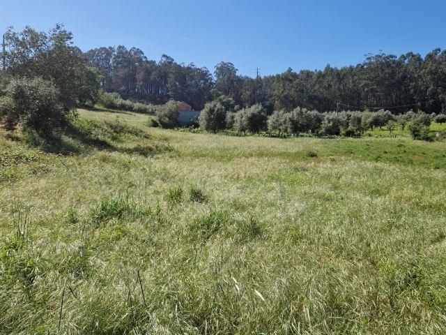 Terreno venda em Pombal, Leiria