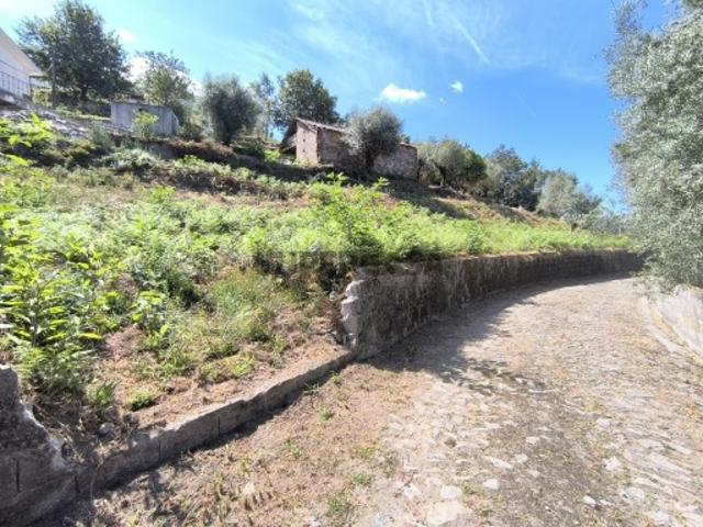 Terreno venda em Viana Do Castelo